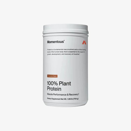 Plant-Based Protein - Chocolate